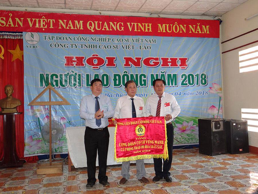 Cao su Việt – Lào phấn đấu khai thác 17.500 tấn mủ